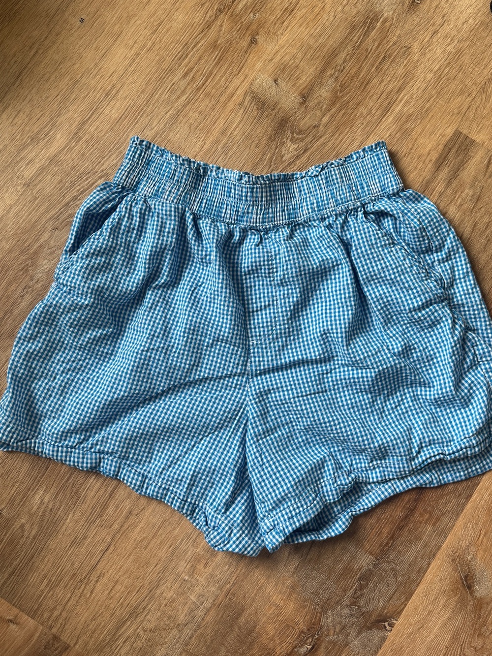 Aerie Blue Gingham Shorts